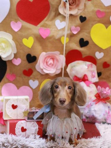 20230208サニーくん